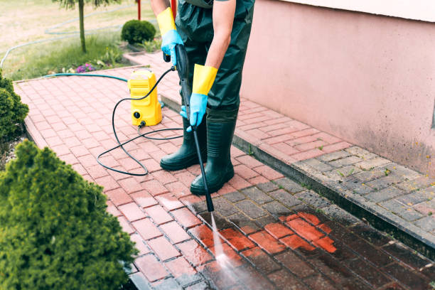 Best Best Pressure Washing Companies  in Poth, TX