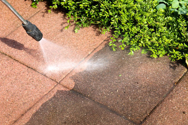 Best Pressure Washing Near Me  in Poth, TX